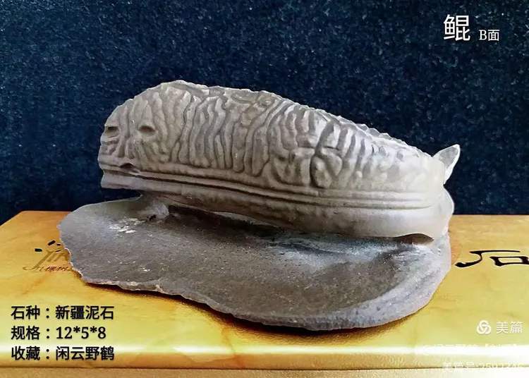 一石两看 你还在纠结吗